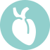 Heart Transplants